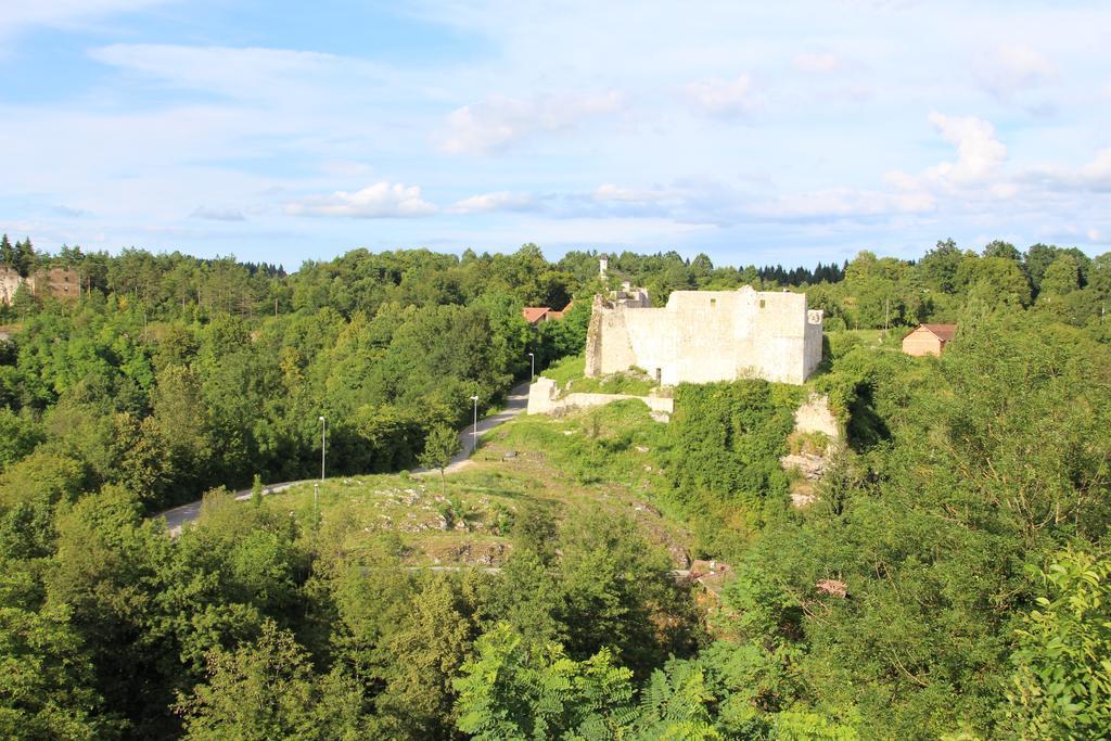 Apartman Drenovac Szluin Kültér fotó