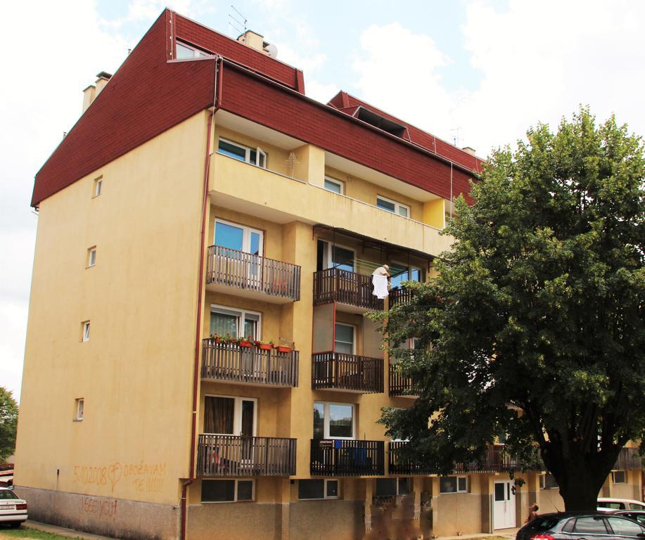 Apartman Drenovac Szluin Kültér fotó