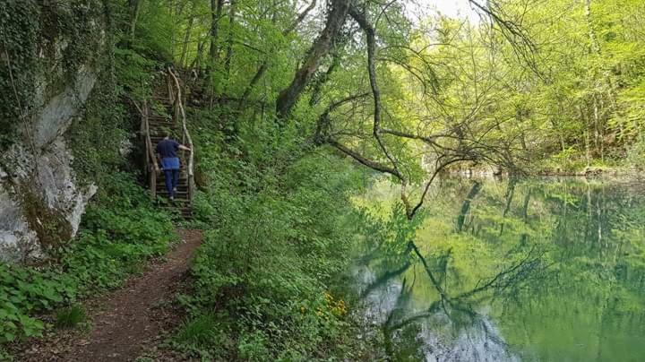 Apartman Drenovac Szluin Kültér fotó
