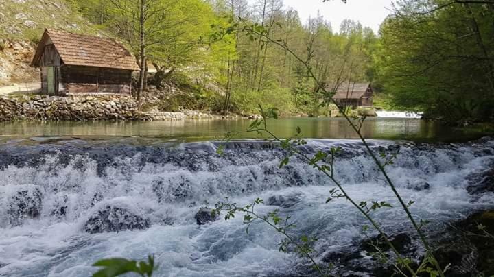 Apartman Drenovac Szluin Kültér fotó