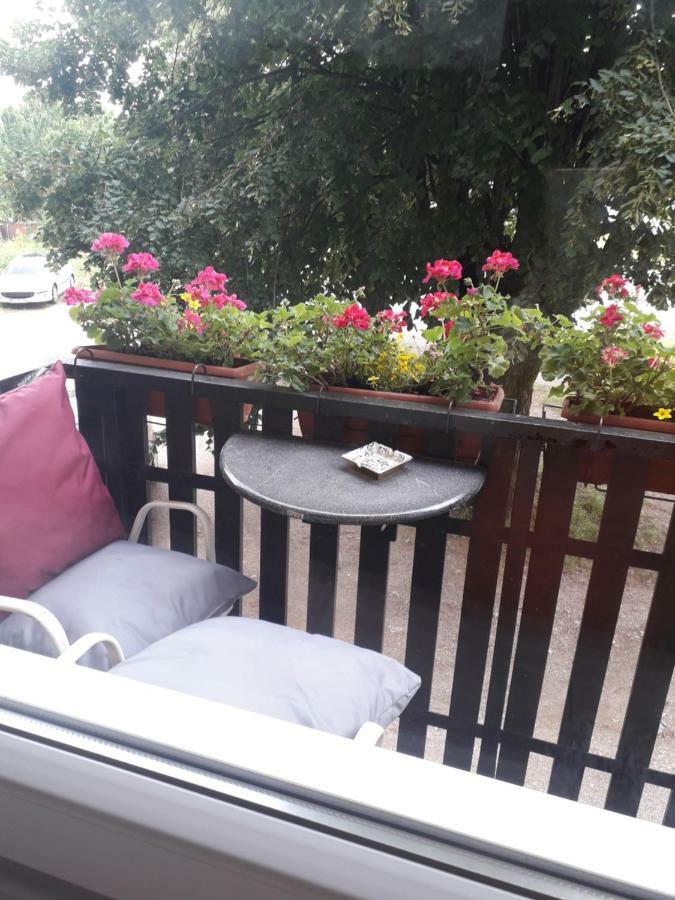 Apartman Drenovac Szluin Kültér fotó